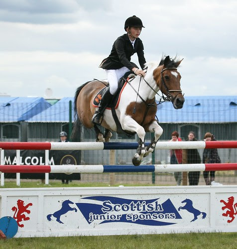 Showjumping