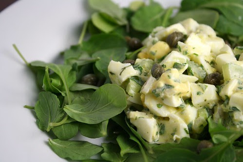 Egg and Herb Salad