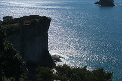 Cathedral Cove