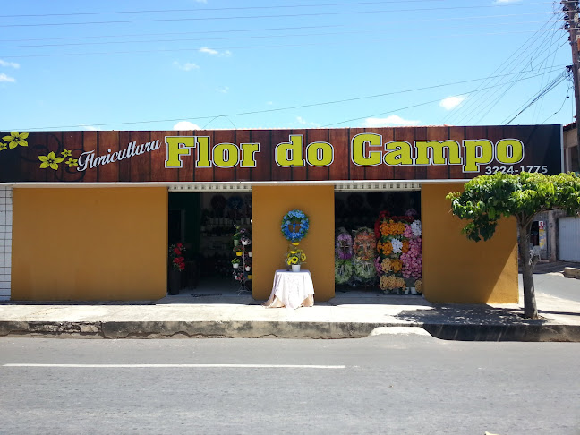 Floricultura Flor do Campo - Floricultura