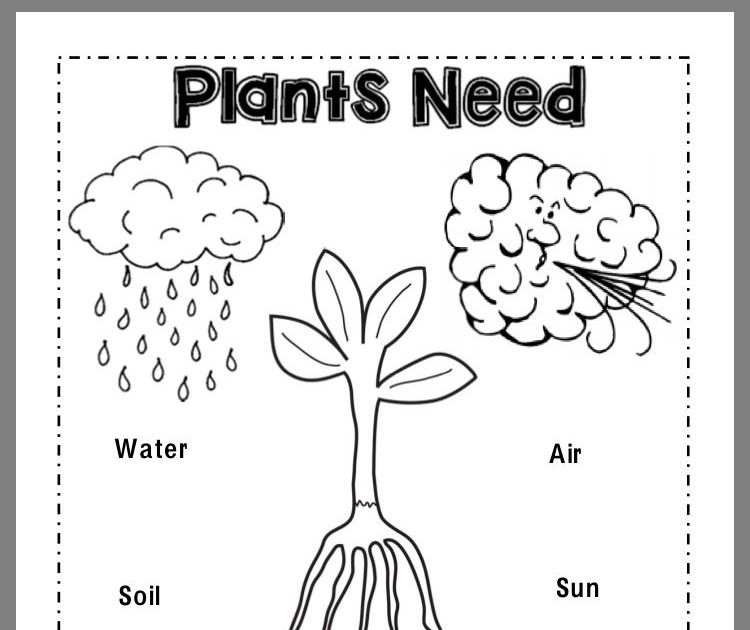 Printable Science Worksheets For Preschoolers : Printable Back to