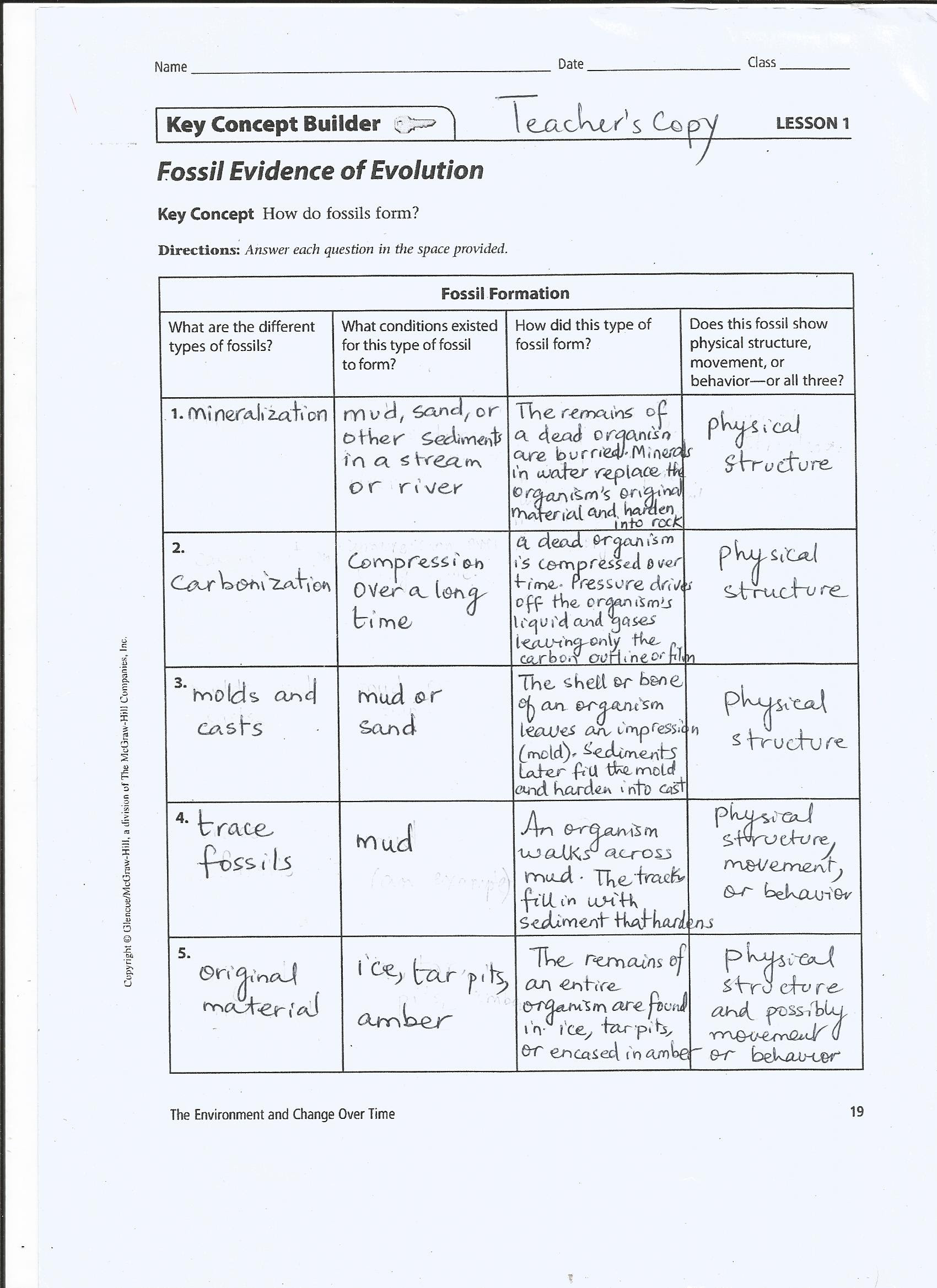 Free Printable Bill Nye Fossils Worksheets