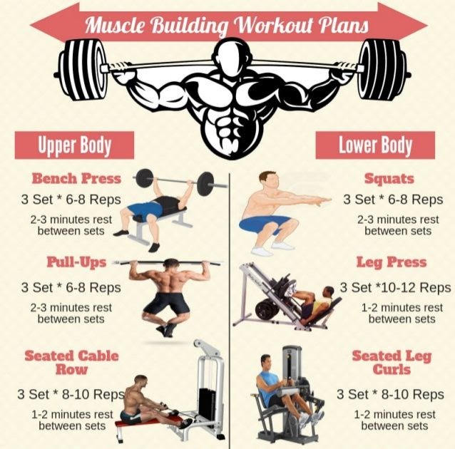 Best Workout Routine To Gain Muscle Mass - WorkoutWalls