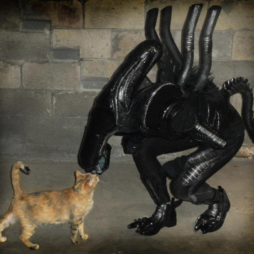 xenomorph