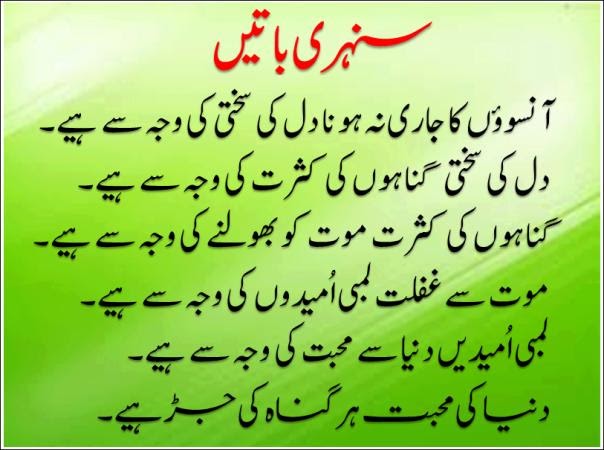 Funny Urdu Jokes Poetry Shayari Sms Quotes Covers Pictures Pics