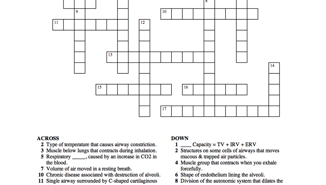 Nervous System Crossword Puzzle Answer Key Anatomy - ANATOMY STRUCTURE