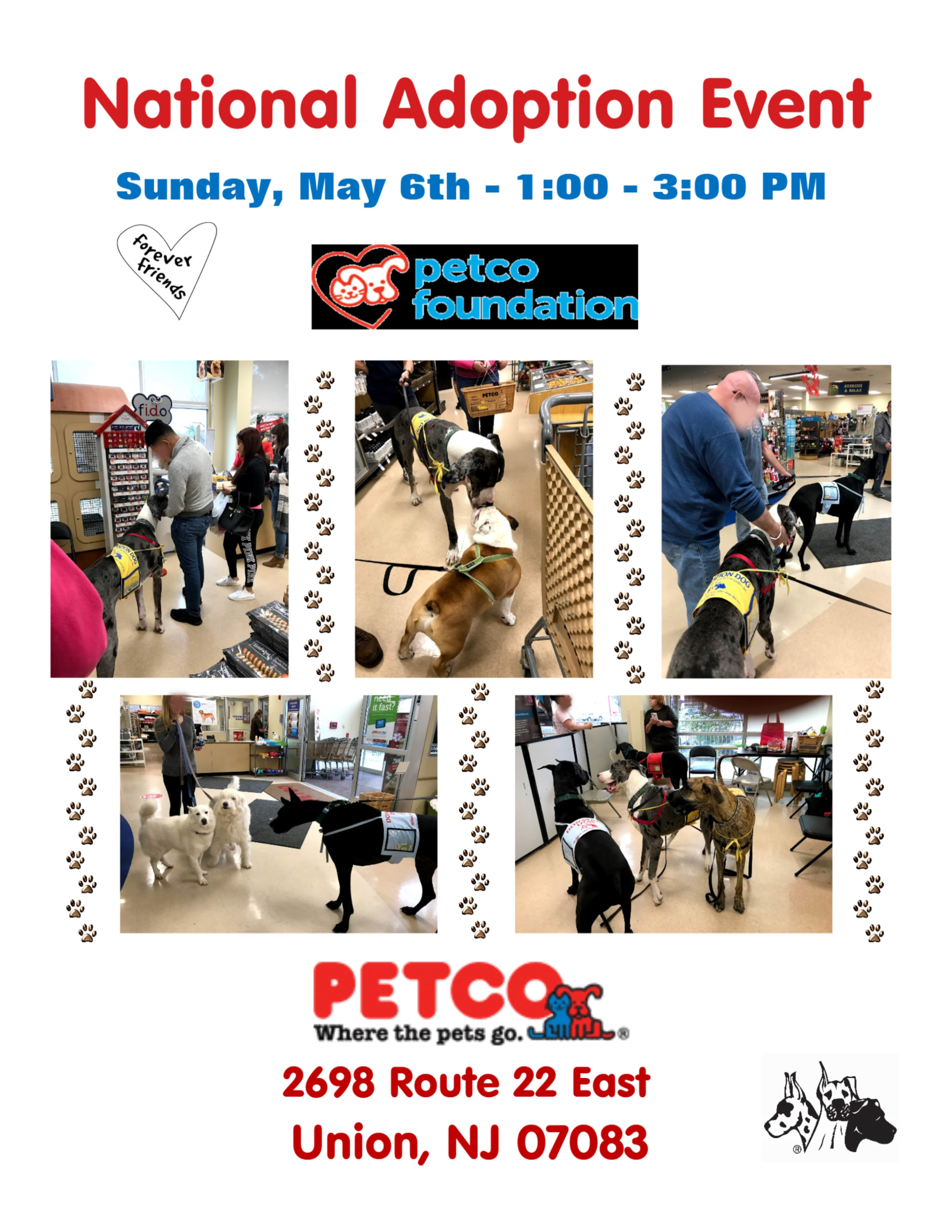 Petco Adoption Events Near Me The W Guide