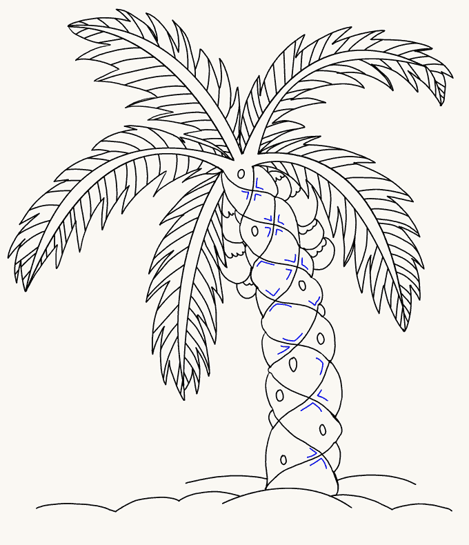 How To Draw Palm Tree Leaves Step By Step - The Home Garden