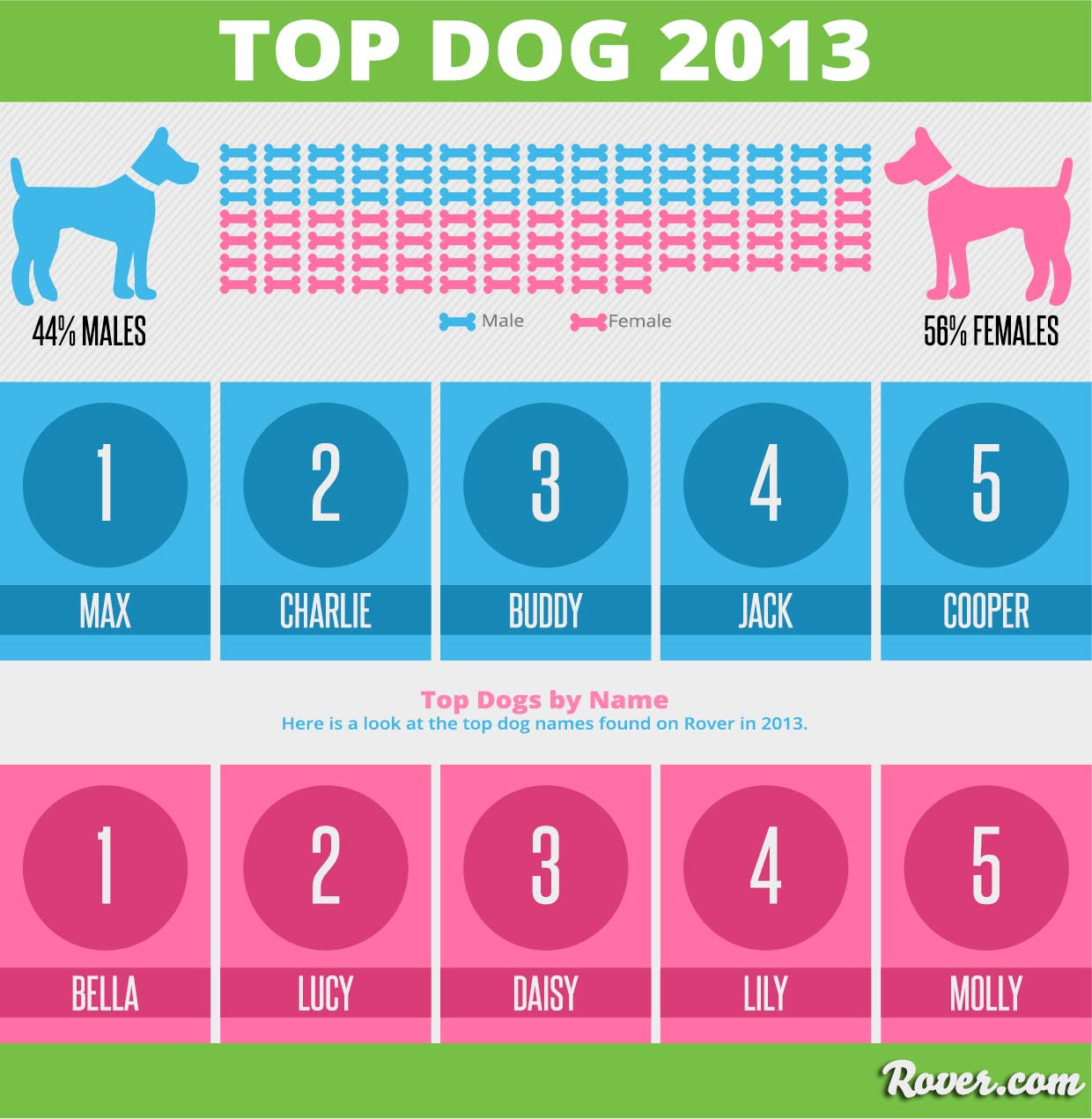 Top 100 Unique Male Dog Names