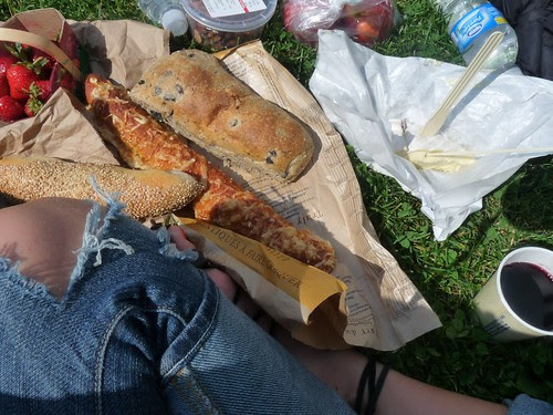 montreal picnic1