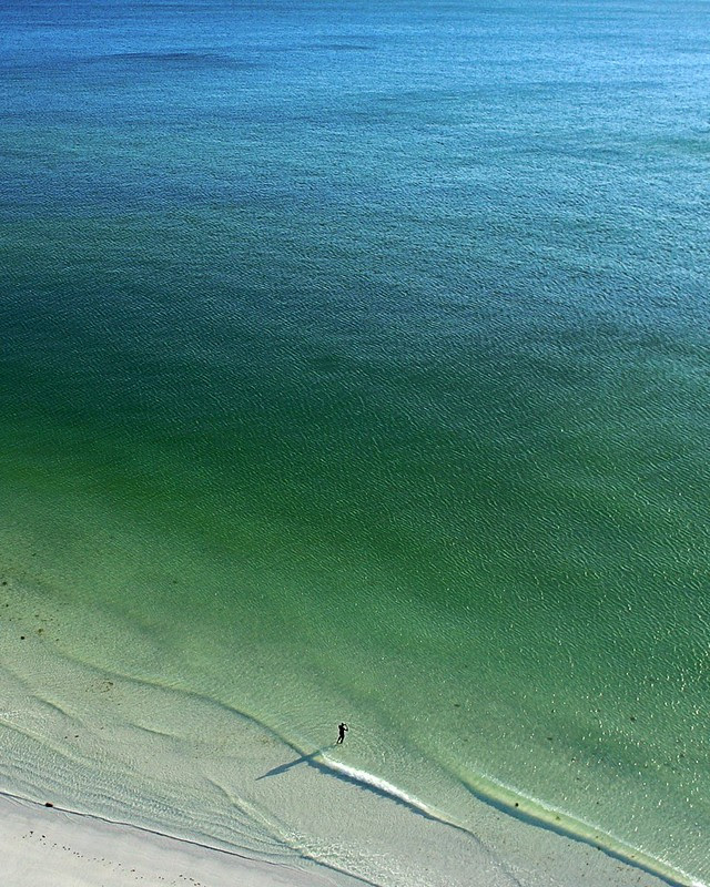 Lone Swimmer at Lido Beach, Florida