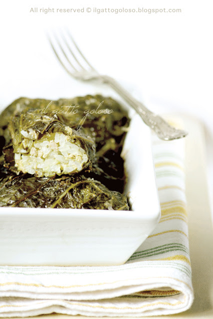 Involtini verza, riso e carne