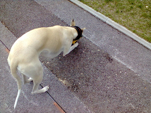 Foto0075