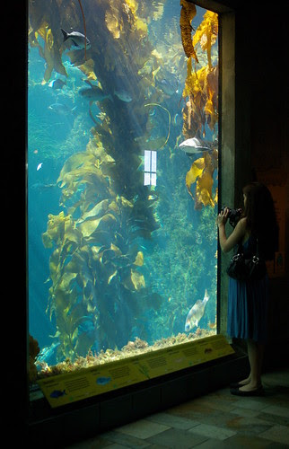 Picture with Pentax K10D & Tokina 19-35 f/3.5-4.5