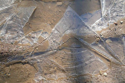 P1280976