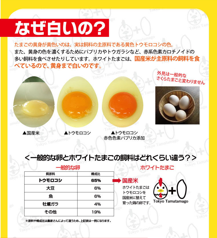 無料印刷可能な画像 優れた 卵 白い の