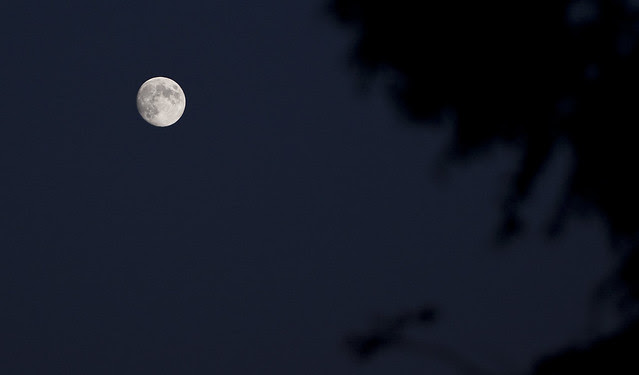 mooned