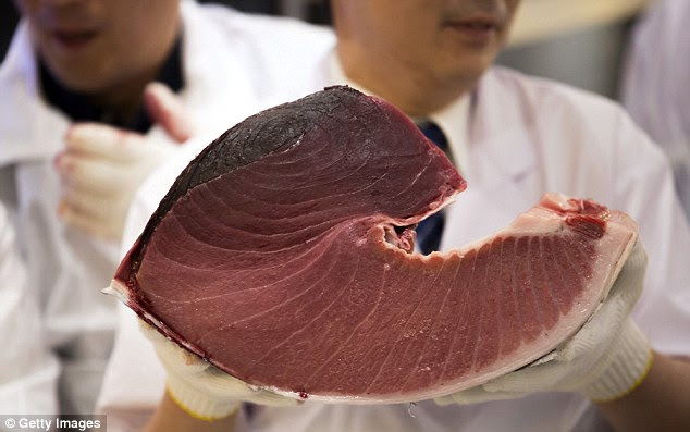 At the price paid for the fish, a single piece of tuna sushi would cost roughly 10,000 yen (£70)