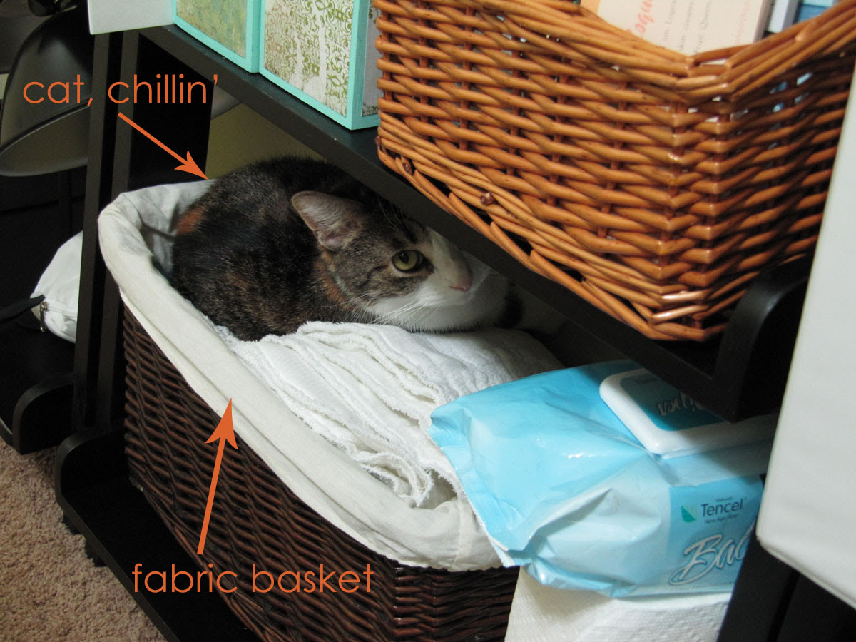 IMG_1907_CatInFabricBasket