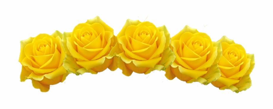 Sunflower Flower Crown Transparent Background / You can download free