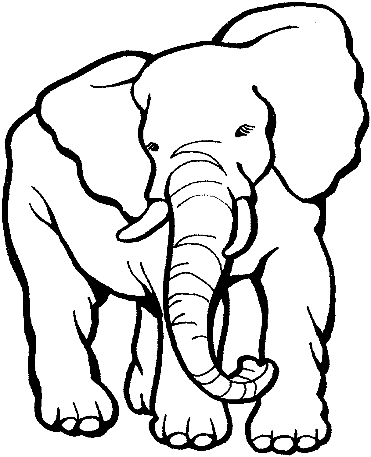 Free 324 Elephant Line Drawing Svg SVG PNG EPS DXF File