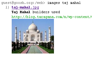 Fig: Google Image Search