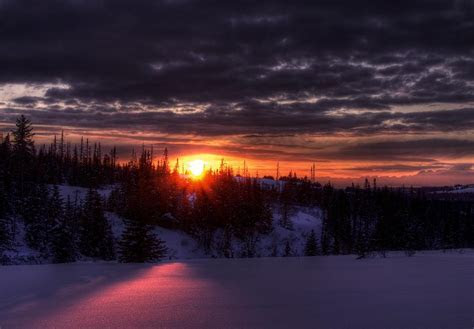Alaskan Winter Sunset Photograph by Michele Cornelius Alaskan Winter Sunset Photograph by Michele Cornelius