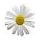 bloem