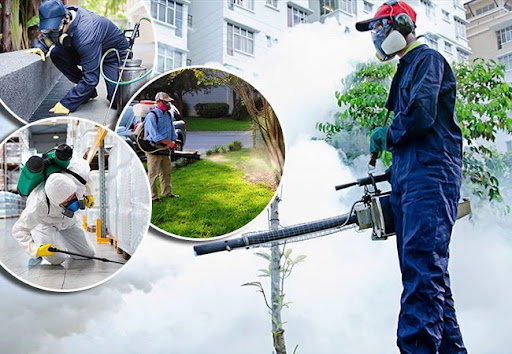 Dịch vụ phun thuốc diệt muỗi mối tận gốc Đô Lương, Yên Thành Nghệ An ở tại  TP Vinh Nghệ An