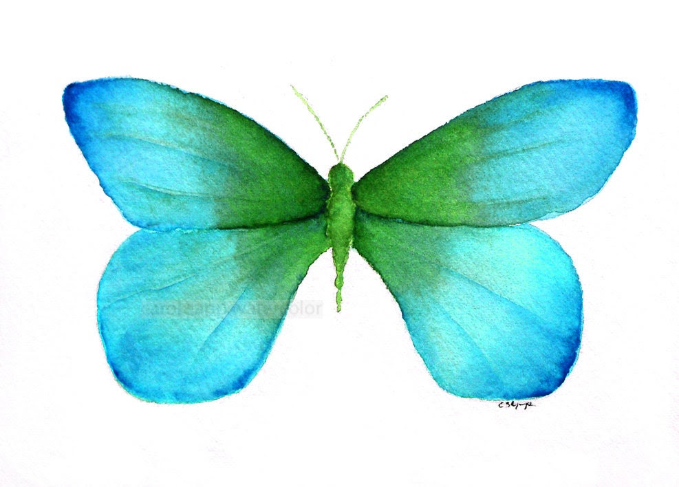 watercolor painting blue green butterfly archival print - carolsapp watercolor painting blue green butterfly archival print - carolsapp