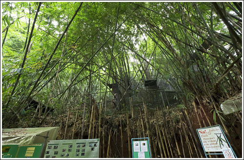 Phuket Gibbon Rehabilitation Center