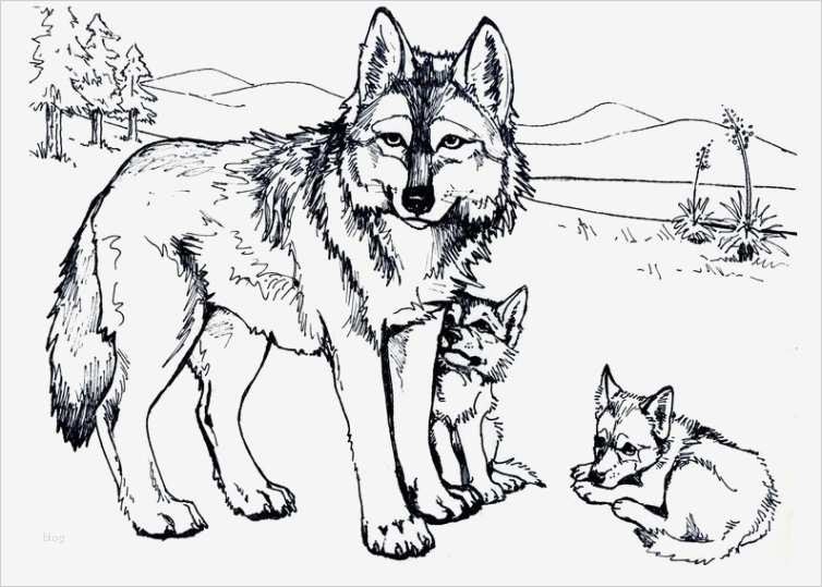 Ausmalbilder kostenlos: Kreative Wolf Bastelvorlagen für Groß und Klein!