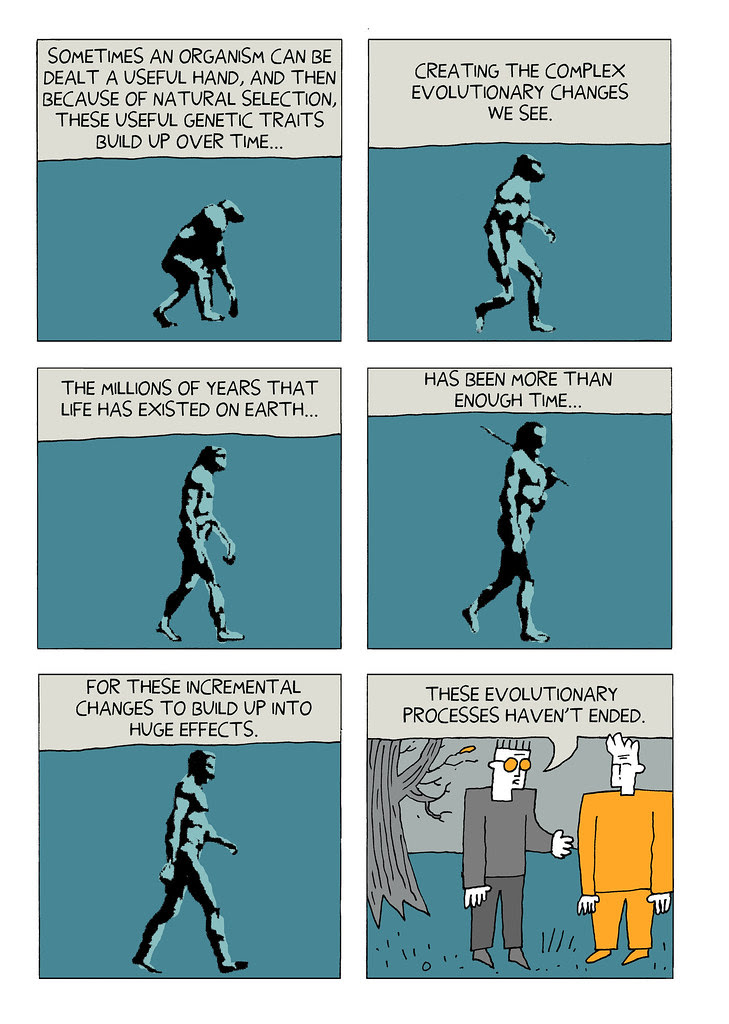 evolution 21