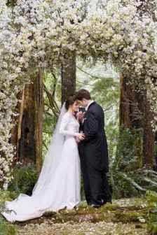 Kristen Stewart Twilight Dress Details by Carolina Herrera