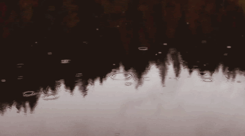 33 Amazing Rain Animated Gif Images Best Animations 33 Amazing Rain Animated Gif Images Best Animations