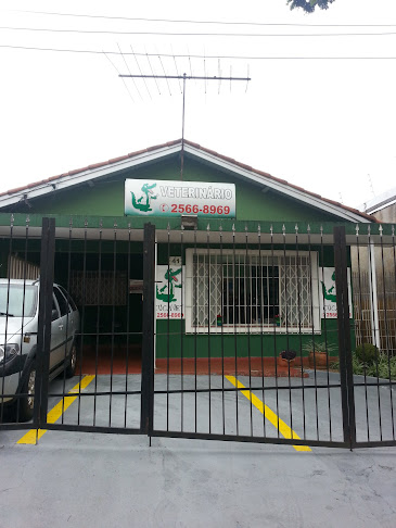 CucaVet Clínica Veterinária - Veterinário