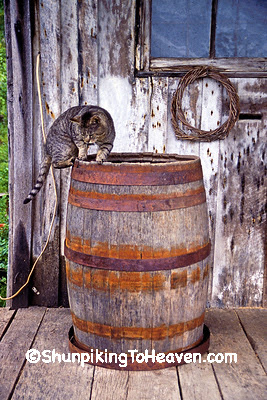 Tiger Cat on a Barrel at Penn's Store, Casey County, Kentucky (at the Boyle County Line)