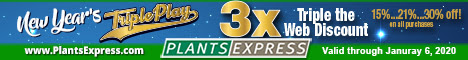 New Year's Triple Play -- Triple Your Internet Discount with Plants Express!
