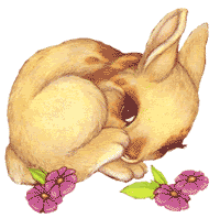 Gif de coelho Gif de coelho