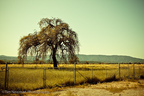 San Jose