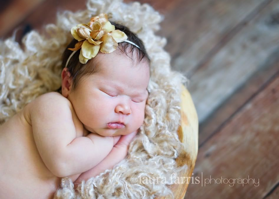 newborn photography idaho