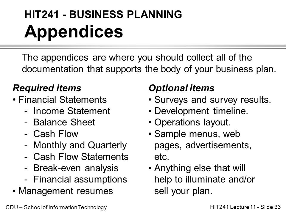 appendix sample in business plan