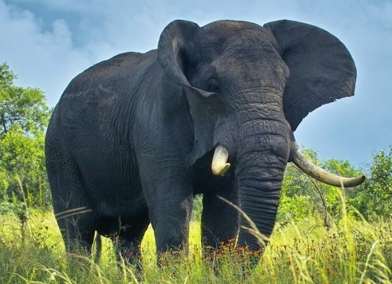 Gambar Di Dunia