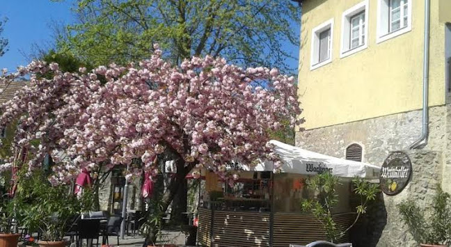 Tapolca, Fő tér 1, 8300 Magyarország