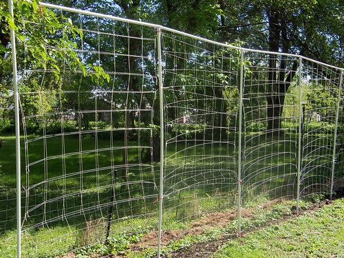 Bean Fence