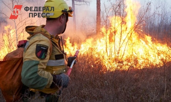 В Красноярском крае появится лесопожарный центр стоимостью в миллиарды рублей | Красноярский край