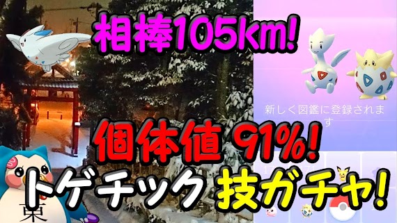 ベストオブ ポケモン プラチナ トゲピー たまご に 様々な最新画像