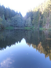 PA080423