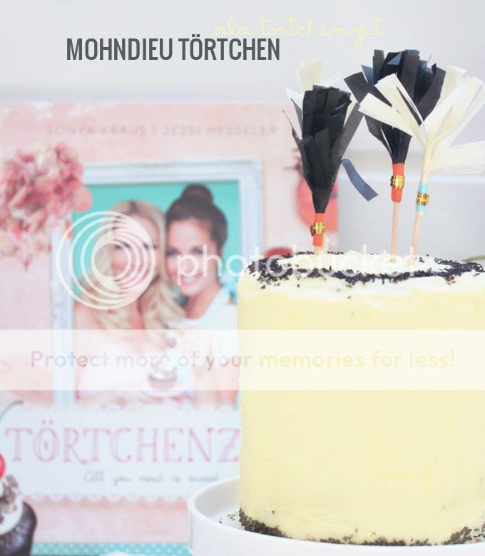 http://i402.photobucket.com/albums/pp103/Sushiina/cityglam/cityglam016/zitronentoumlrtchen5_zps74b7823f.jpg