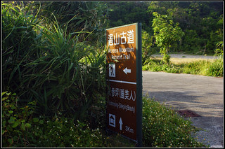 DSC04502